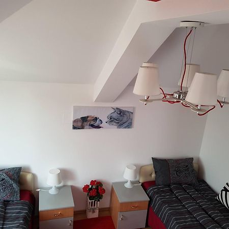 Lux Apartments With Pool Dex Zemun Polje Habitación foto